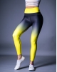 LEGGING SHAPESTAR - SHINING STAR