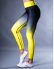 LEGGING SHAPESTAR - SHINING STAR